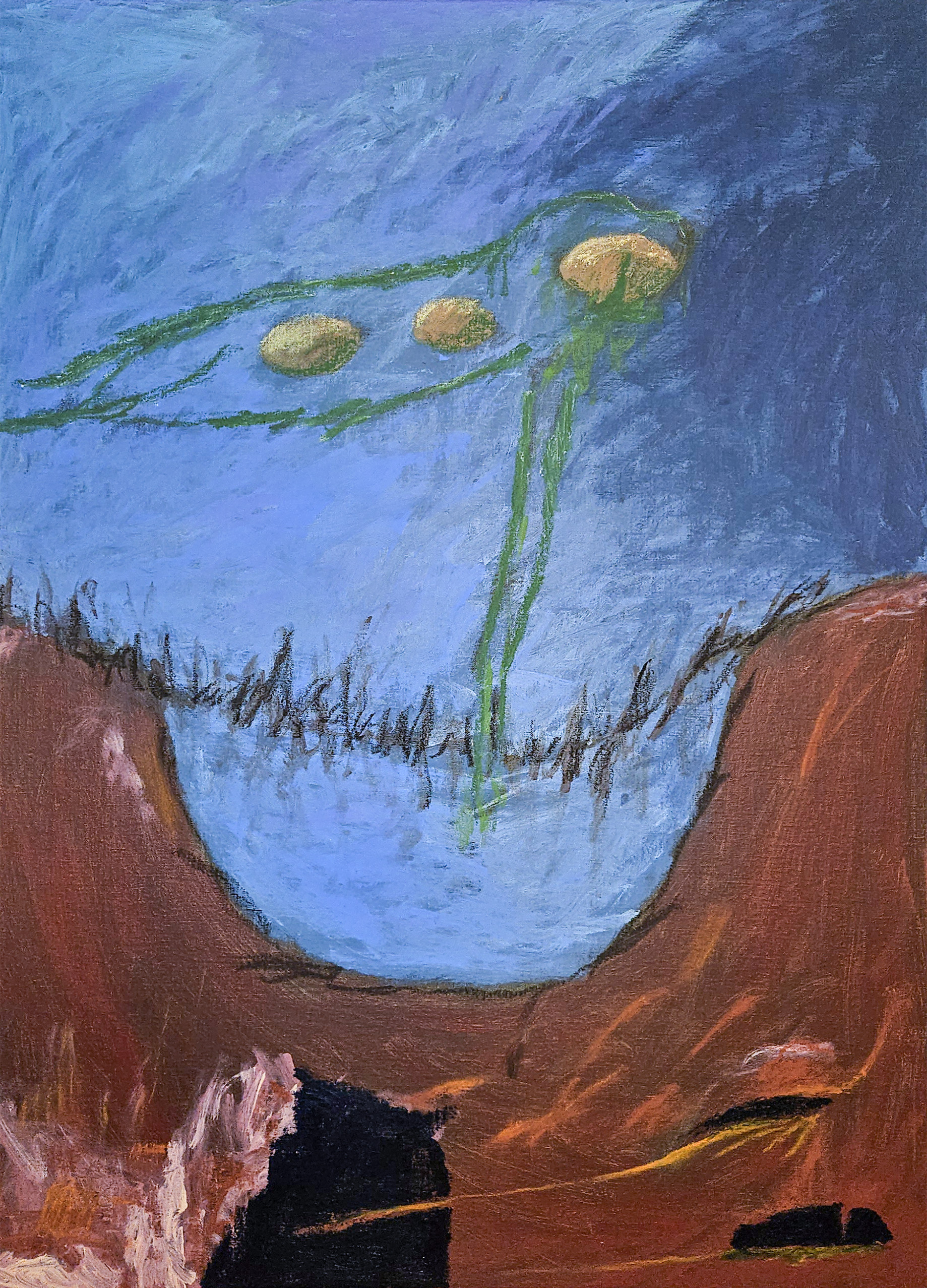 Sturt's dream, 1998