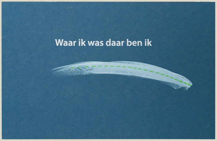 Waar ik was daar ben ik - voorzijde, 2015